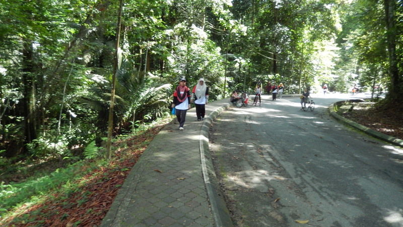 0776 DSCN0704